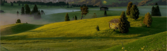 banner_1